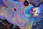 oilspill