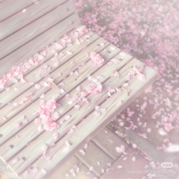 🌸