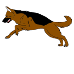 LoveTheDogs
