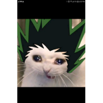 Grr gee grr gee