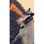 ‘+ Pony People +’