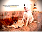 #Ollie and Robert nation