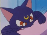 Yamú