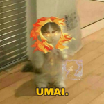 Bate papo Edu_kenay
