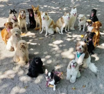 Kay and puppys