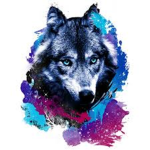 Sonic Galaxy Wolfs