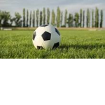 -Soccer Rules-