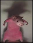 The rat army 123
