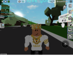 Coco point