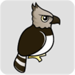 The killer eagles