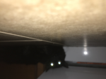 Cats away