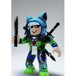 Shadow ninjas team