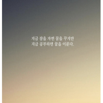 스쿨 라이프