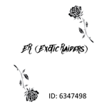 ER (Exotic Raiders)