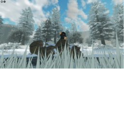 Snow Forest