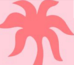 Pink palm puff pookies