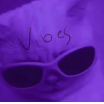 Vibe.clothes