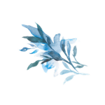 Mystic][Funds