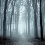 Darkness_S