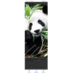 Les pandas.