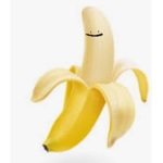 Bannana bag group