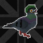 Pigeons Manchester