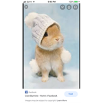 BUN BUN1234