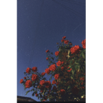 Aestheticness
