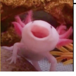 The happy boi