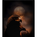 DarkEagle Empire