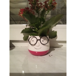 Cactus and flower