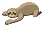 Sloth fans forever