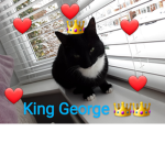 The George fan group