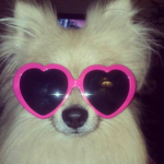 jelly's UGC