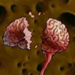 Brain isn't braining!