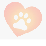 #AdoptMe!