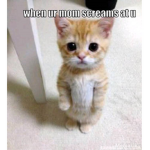 Ihatecris2