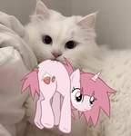 selflessevie