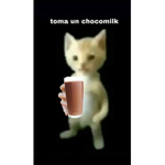 ᴅʀɪᴘ ᴋɪɴɢꜱ ᴀɴᴅ Qᴜᴇᴇɴꜱ