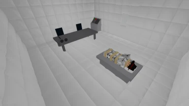 Asylum Life