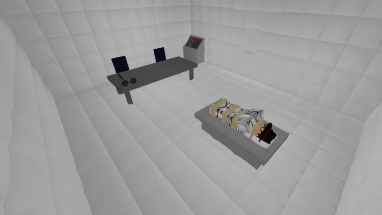 Asylum Life
