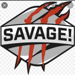 The Savage Gang (SK, RMS, and BS)