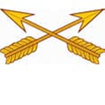 United States Army Special Forces [ FJ ]