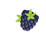 The Blackberries