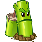 Plant's Group
