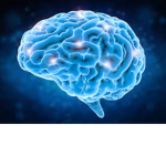 UltimateBrainlessGamers