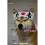Ninja Sparkle ####