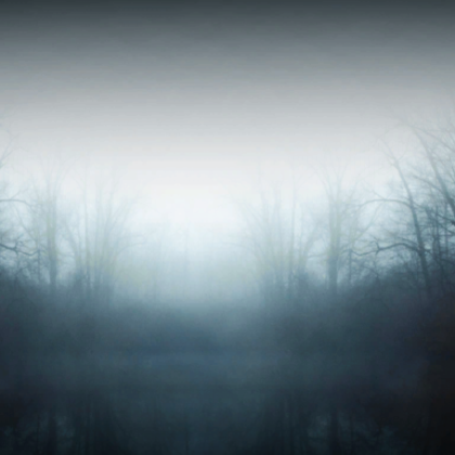 Abandoned Dead Swamp