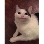 XxlllXx31