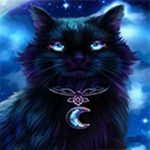The Midnight Black Cats